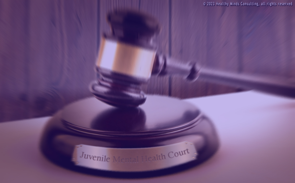 Introduction to the Juvenile Mental Health Court – Healthy Minds