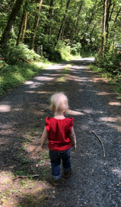 A female toddler, blonde, wearing a red sleeveless shirt, blue jeans, and hiking boots is facing away from us in the foreground, looking down a long gravel road going into the distance surrounded by tall trees and green plants everywhere.