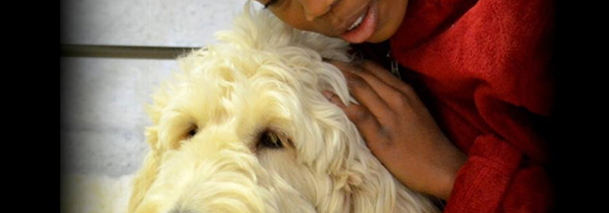 closeup image of a young African-American girl leaning into the picture from the right side so that we see her from the shoulders up ,wearing a soft red hoodie. she is snuggling into a large cream-colored golden doodle service dog with shaggy fur that we see from his neck up. the background is vague but appears to be part of a bedroom dresser.